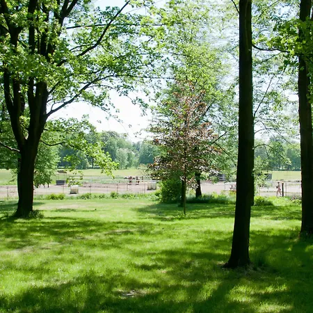 Hotel Zamek 4*